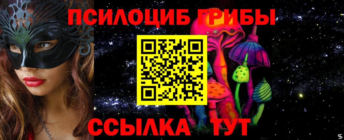 Ливны  Псилоцибиновые грибы Cubensis  Вход с VPN 
